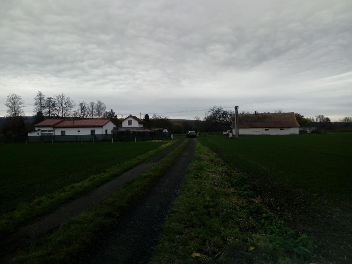 Píšťovy opět na okraji? Ladislava Rehortová čeká na dopis od starosty