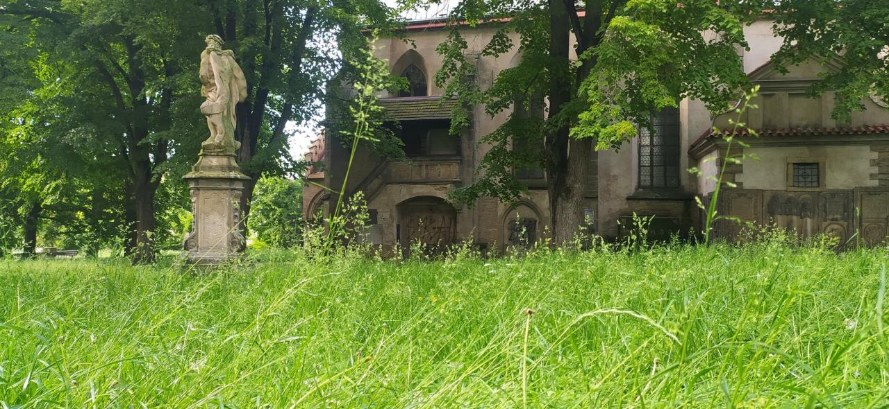 Péče o zeleň snad nemůže být horší