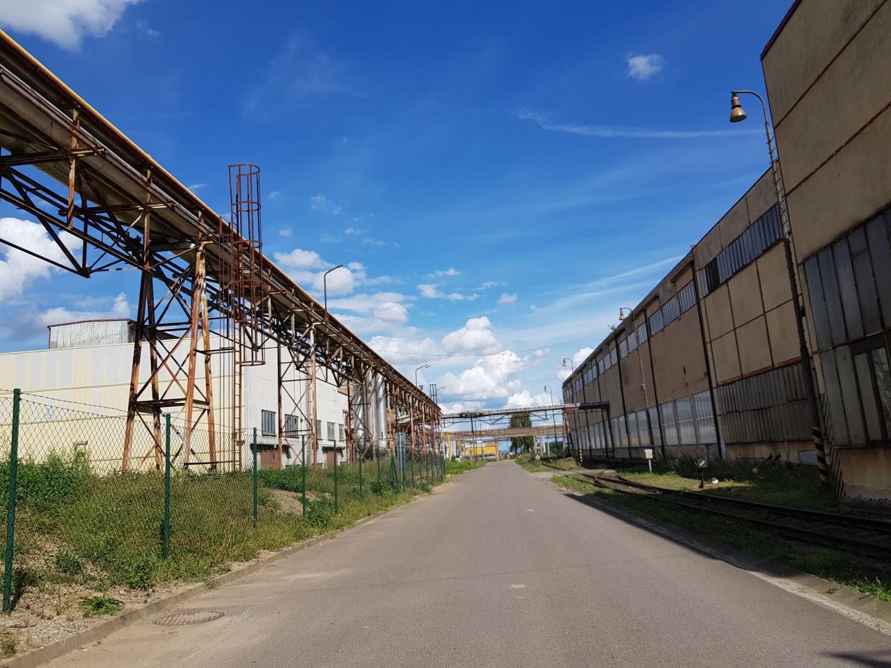 Vrty odstraní, aby stavbě nic nebránilo