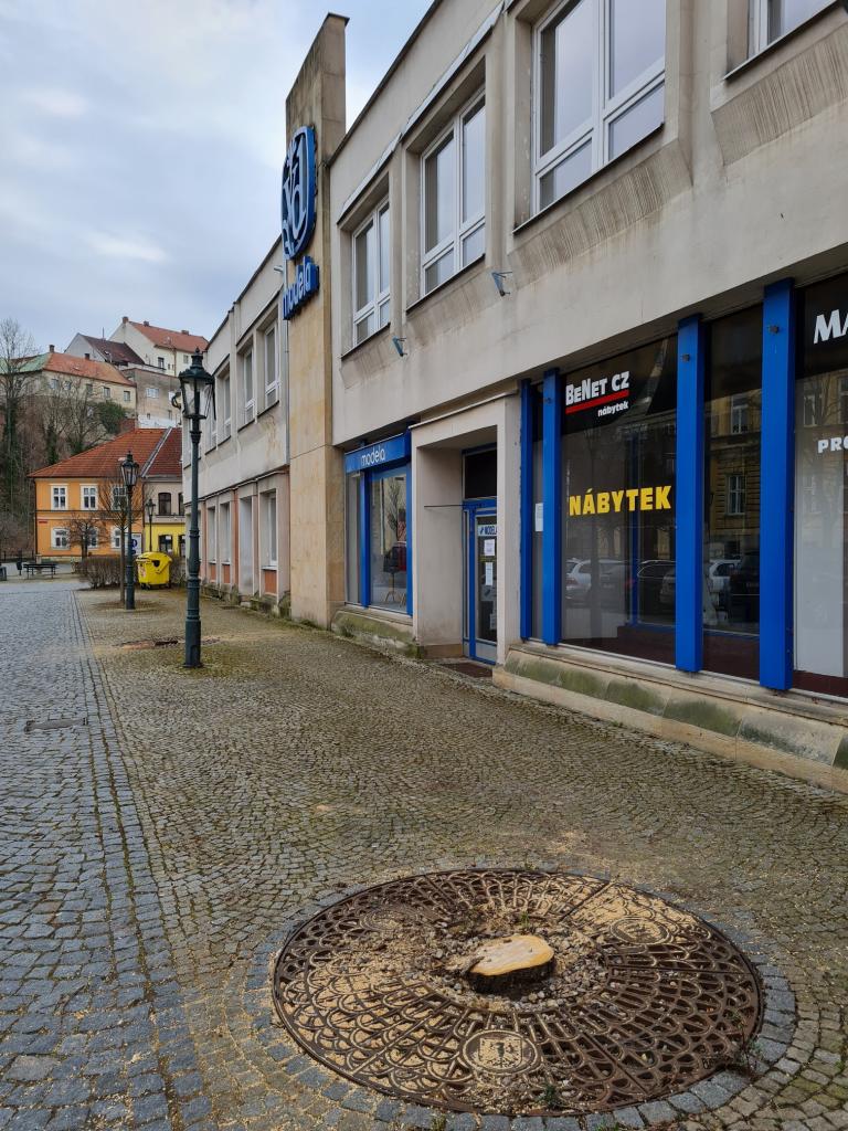Po stromech U Vodárny zbyly jen pařezy