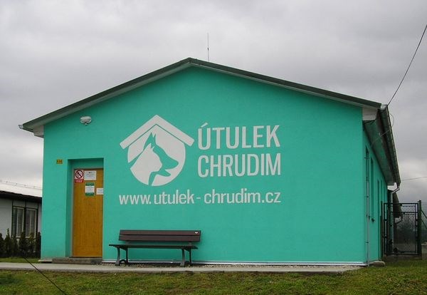Na útulek si vloni došlápla veterina