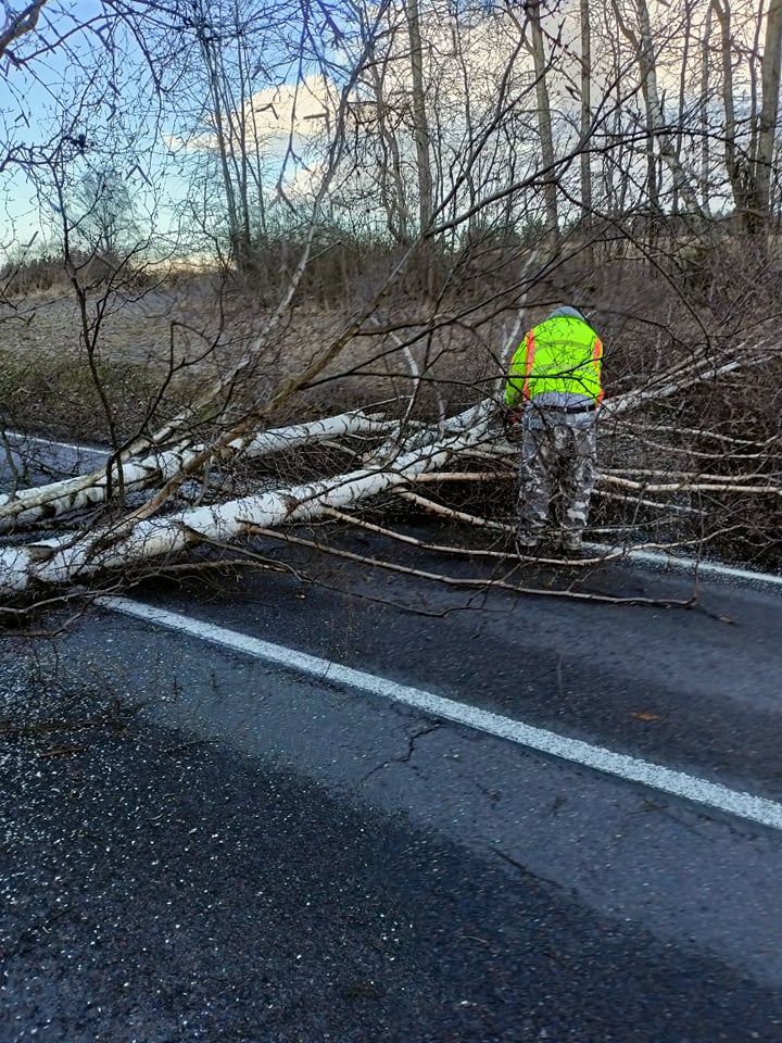 S následky silného větru se potýkají i na Chrudimsku