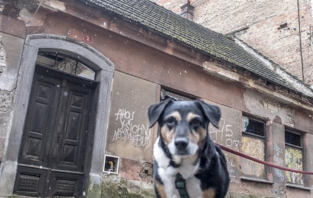 Demolice Kometina domku v Lázeňské se trošku prodražila