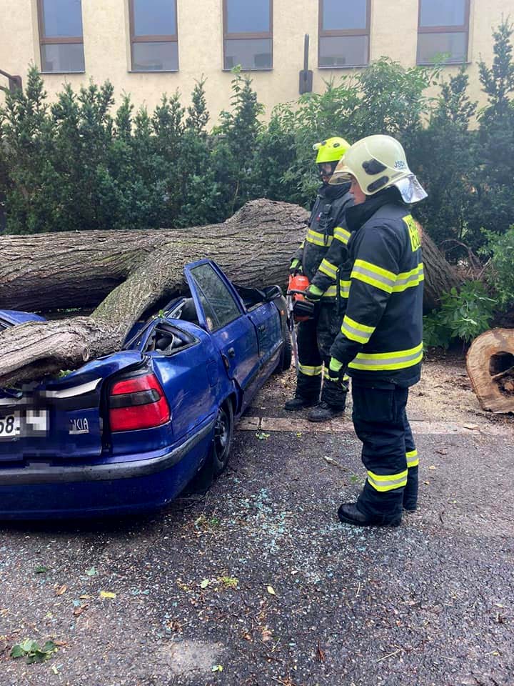 Lípa zdemolovala zaparkovaný automobil 