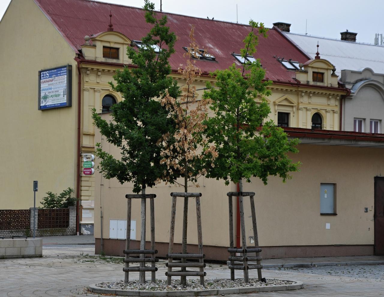 Peníze za nesmyslnou výsadbu u nádraží se musí vyhazovat dál