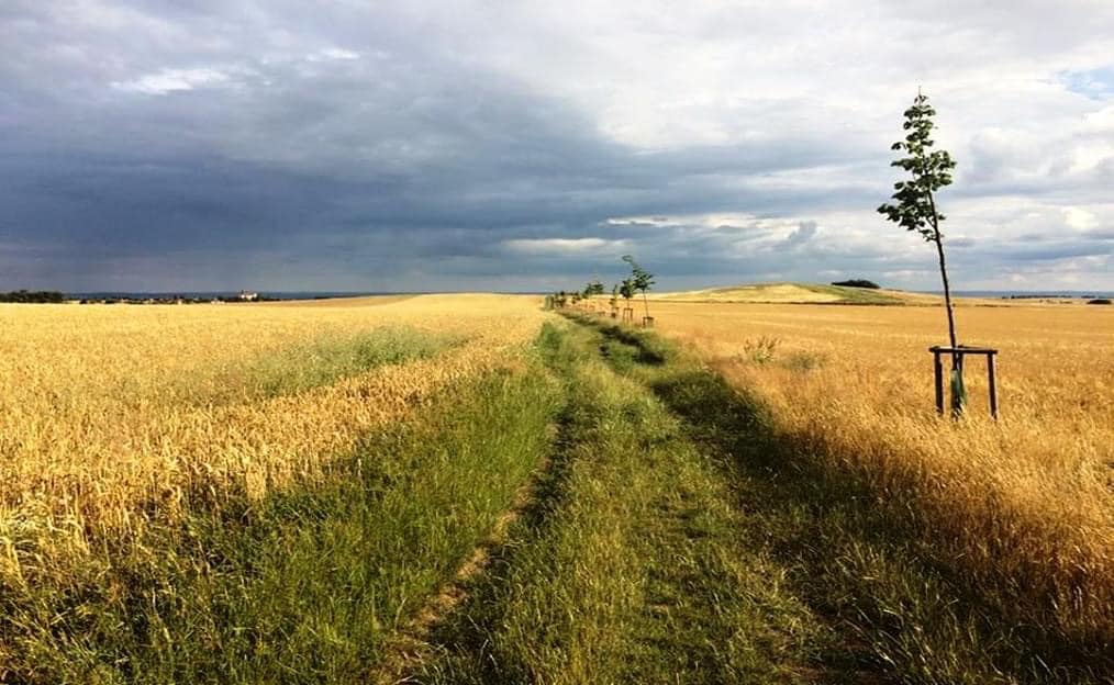 Starostův plán s vývozem suti na pole zřejmě neklapne
