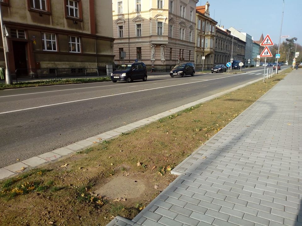 Nová zeleň se na Palackého třídě jen tak neobjeví