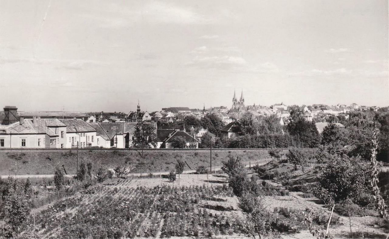 Revitalizace Vaňkových školek má zelenou: Městský architekt územní studii podpořil