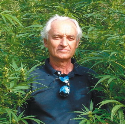 Marihuana prospívá zdraví? Vědci z WHO promluvili