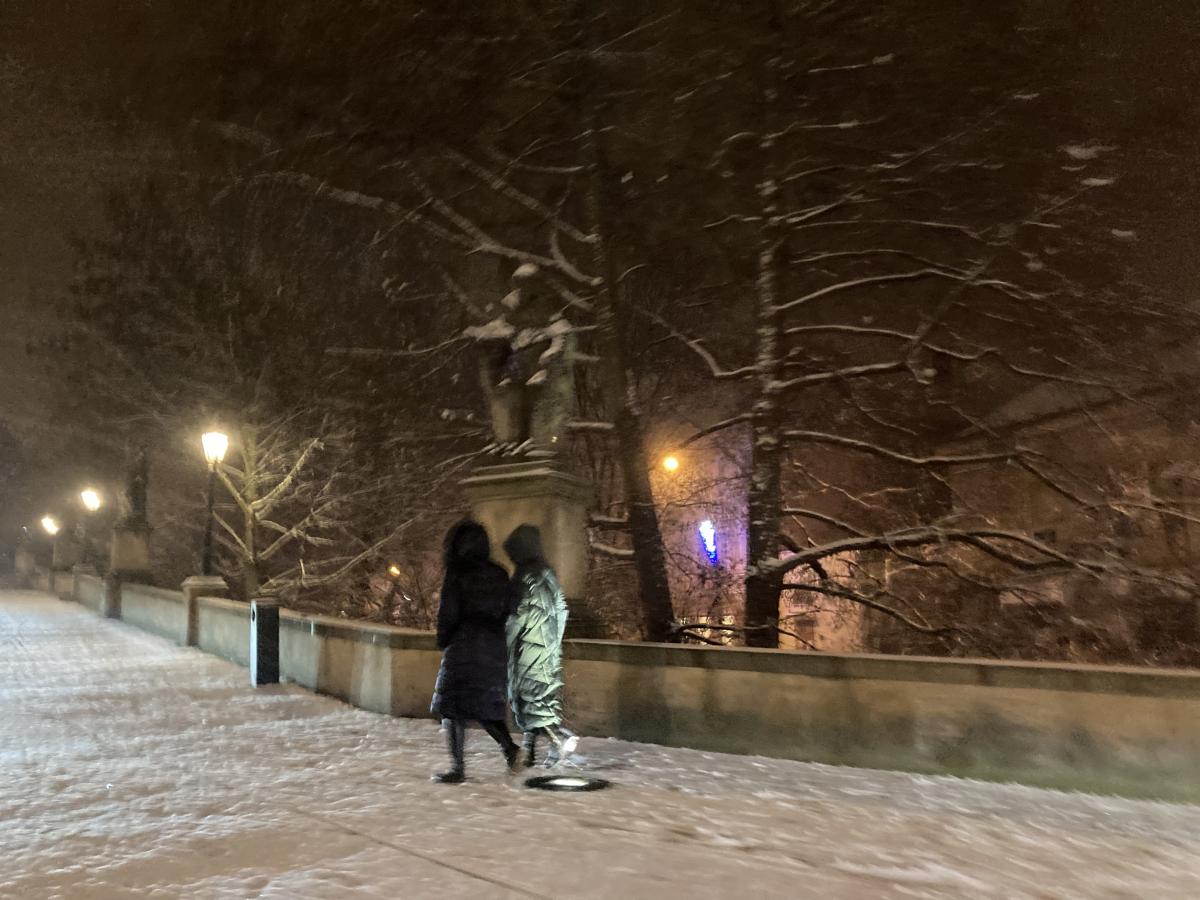 Za technické služby v Chrudimi zaskakuje městská policie