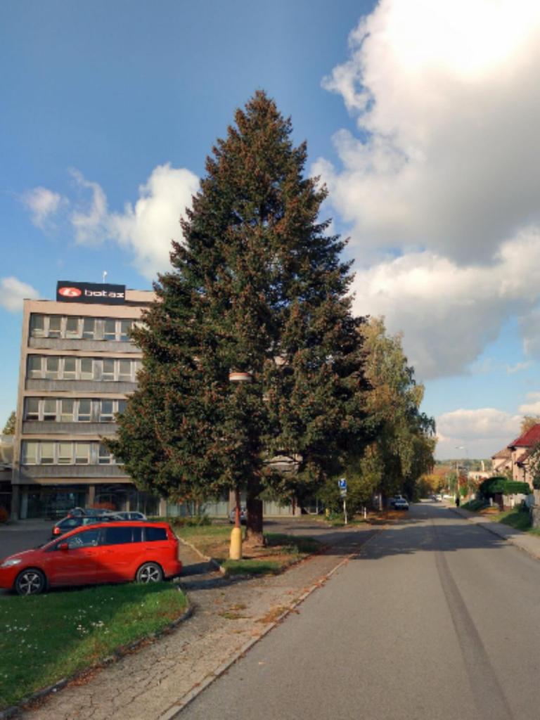 Výstavba bytů finišuje. Smrk před Botanou kvůli tomu padne