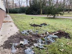 V parku vadil discgolf, rozmohly se tu jiné aktivity