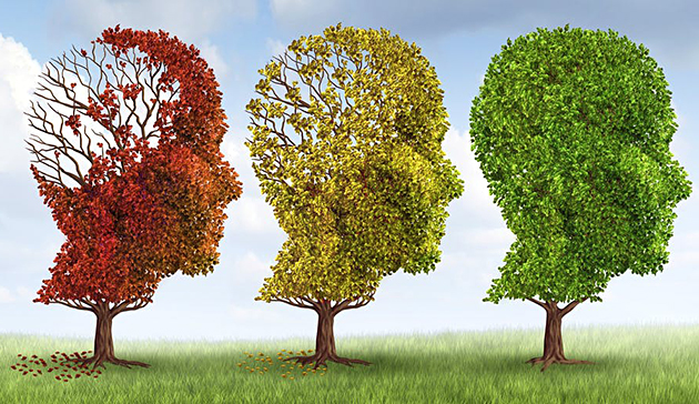 Možný průlom u alzheimera: Žádné zázračné léky, jen strava, cvičení a spánek