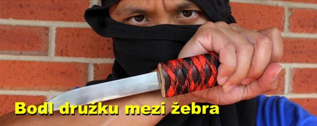 Bodl družku mezi žebra