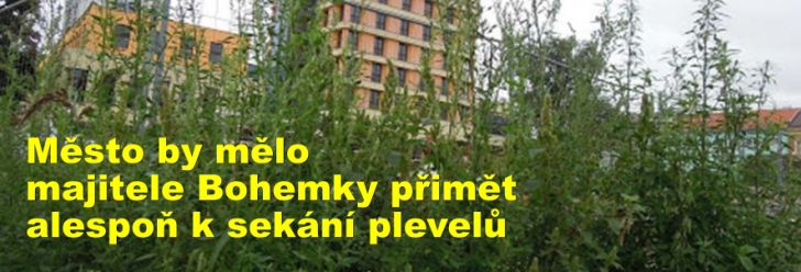 Město by mělo majitele Bohemky přimět alespoň k sekání plevelů