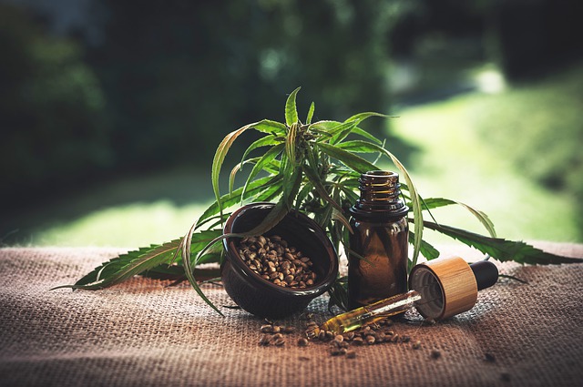 Přijďte diskutovat o legalizaci konopí s Piráty