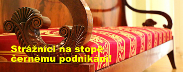 Strážníci na stopě černému podnikání!