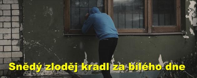 Snědý zloděj kradl za bílého dne