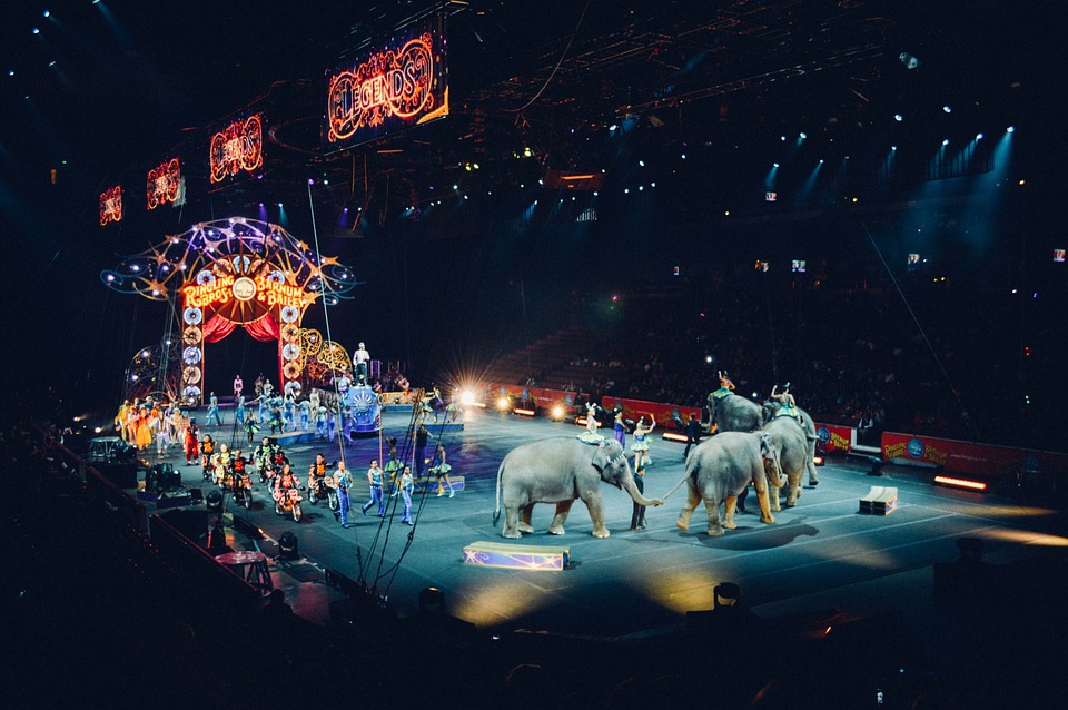 Cirkus Berousek v Chrudimi