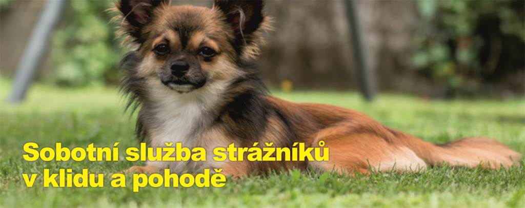 Sobotní služba strážníků v klidu a pohodě