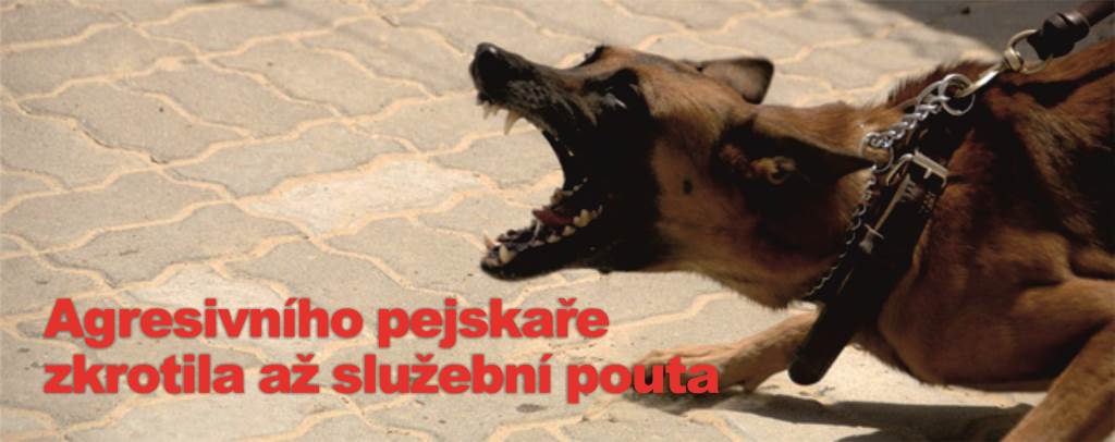 Agresivního pejskaře zkrotila až služební pouta
