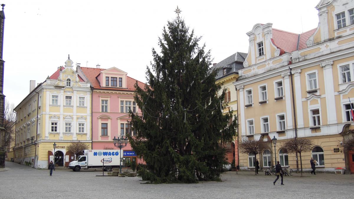 Opět se hledá vánoční strom na Resselovo náměstí