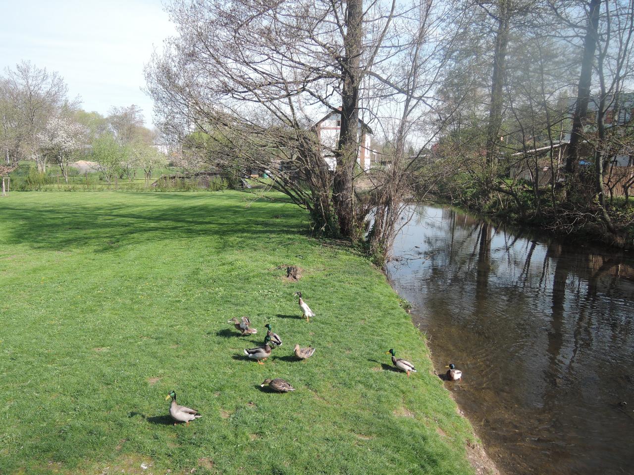 Světový den vody