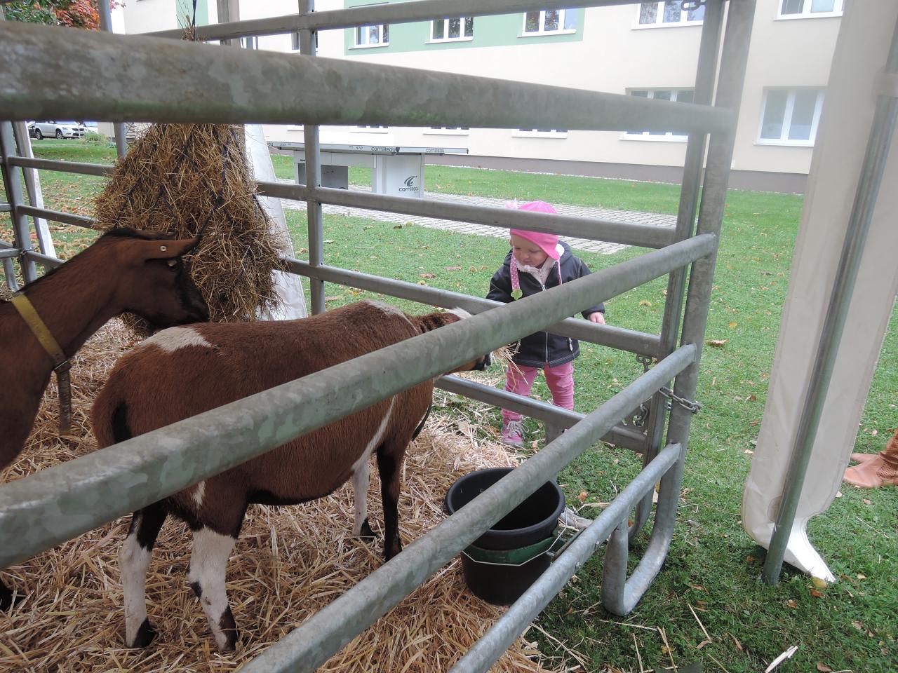 Výstava na Střední zemědělské škole v Chrudimi