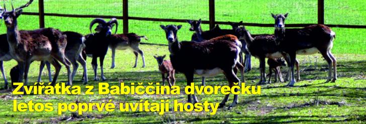 Zvířátka z Babiččina dvorečku letos poprvé uvítají hosty   