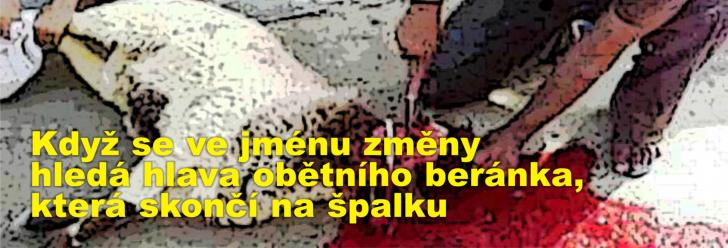 Když se ve jménu změny hledá hlava obětního beránka, která skončí na špalku