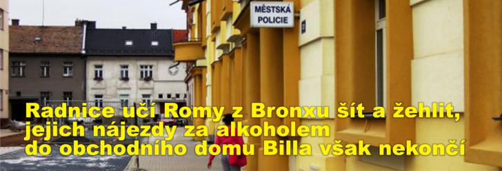 Radnice učí Romy z Bronxu šít a žehlit, jejich nájezdy za alkoholem do obchodního domu Billa však nekončí