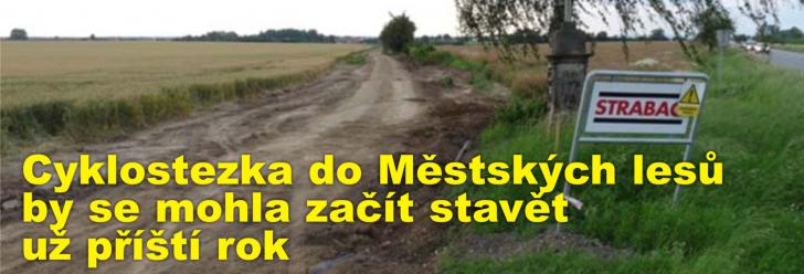 Cyklostezka do Městských lesů na Podhůře by se mohla začít stavět už příští rok, míní místostarosta Trávníček