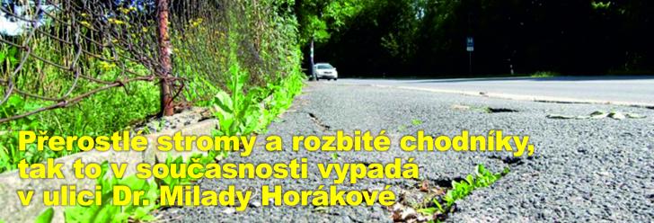 Přerostlé stromy a rozbité chodníky, tak to v současnosti vypadá v ulici Dr. Milady Horákové