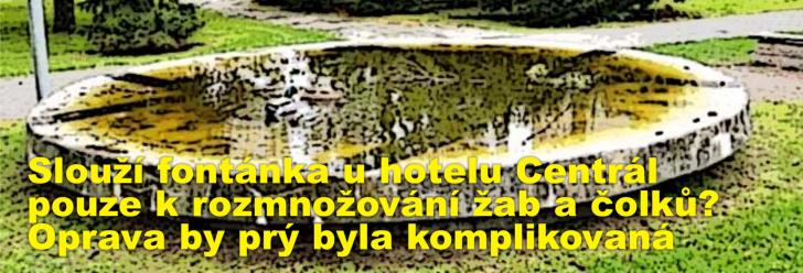 Slouží fontánka u hotelu Centrál pouze k rozmnožování žab a čolků? Oprava by prý byla komplikovaná
