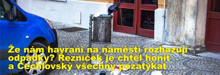 Že nám havrani na náměstí rozhazují odpadky? Řezníček je chtěl honit a Čechlovský všechny pozatýkat