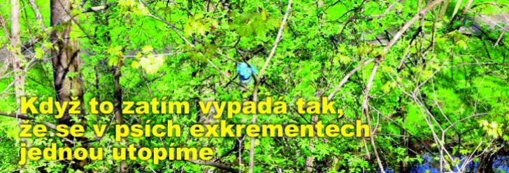 Když to zatím vypadá tak, že se v psích exkrementech jednou utopíme