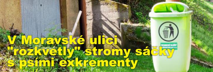 V Moravské ulici "rozkvetly" stromy igelitovými sáčky s psími exkrementy, pejskaři tak řeší nedostatek košů