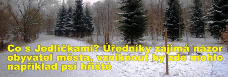 Co s Jedličkami? Úředníky zajímá názor obyvatel města, vzniknout by zde mohlo například psí hřiště