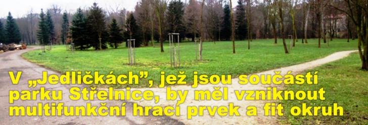 V "Jedličkách", jež jsou součástí parku Střelnice, by měl vzniknout multifunkční hrací prvek a fit okruh
