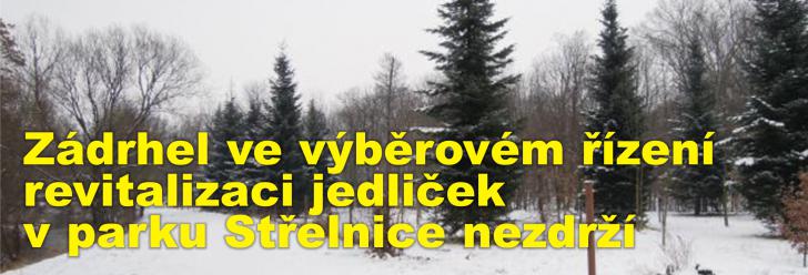 Zádrhel ve výběrovém řízení revitalizaci jedliček v parku Střelnice nezdrží, začít by měla podle plánu v červenci
