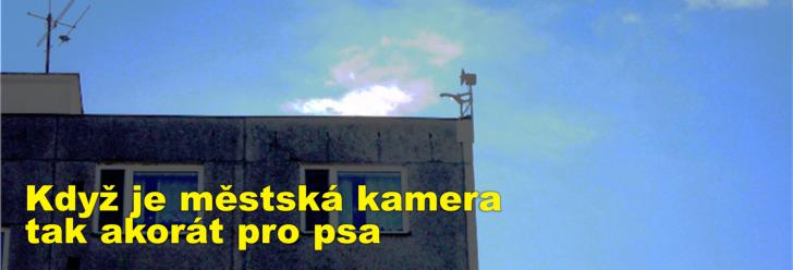 Když je městská kamera tak akorát pro psa