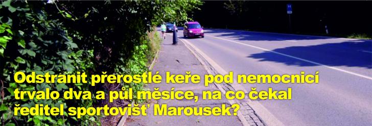 Odstranit přerostlé keře pod nemocnicí trvalo dva a půl měsíce, na co čekal ředitel sportovišť Marousek?