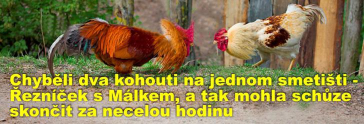 Chyběli dva kohouti na jednom smetišti - Řezníček s Málkem, a tak mohla schůze skončit za necelou hodinu