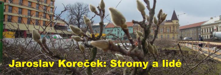 Jaroslav Koreček: Stromy a lidé