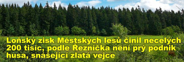 Loňský zisk Městských lesů činil necelých 200 tisíc, podle Řezníčka není prý podnik husa, snášející zlatá vejce