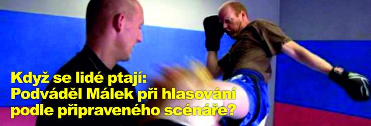 Když se lidé ptají: Podváděl Málek při hlasování podle připraveného scénáře?