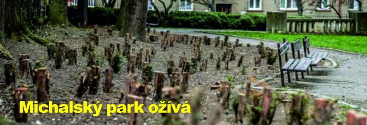 Michalský park postupně ožívá. Zmlazeny byly tisy a průzkum čeká renesanční náhrobky