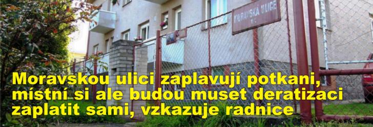 Moravskou ulici zaplavují potkani, místní si ale budou muset deratizaci zaplatit sami, vzkazuje radnice