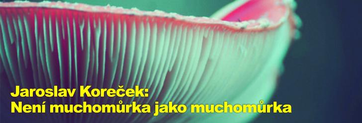 Jaroslav Koreček: Není muchomůrka jako muchomůrka