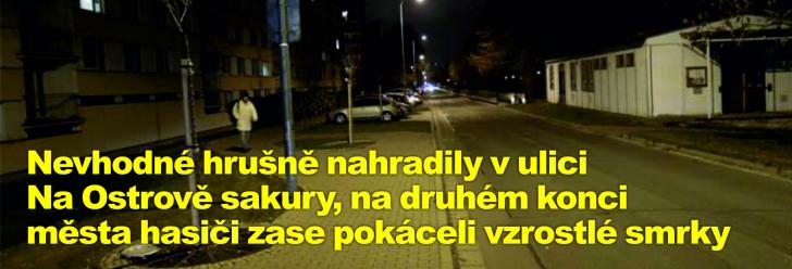 Nevhodné hrušně nahradily v ulici Na Ostrově sakury, na druhém konci města hasiči zase pokáceli vzrostlé smrky